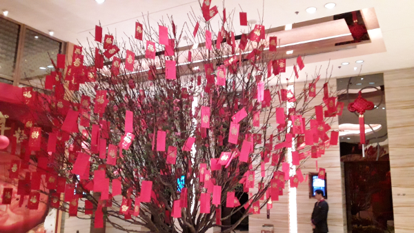 Hongbao on a tree to bring wealth for Chinese New Year during the Spring Festival