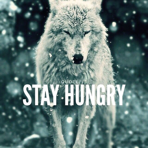 Stay hungry like a wolf, but thankful for what you have