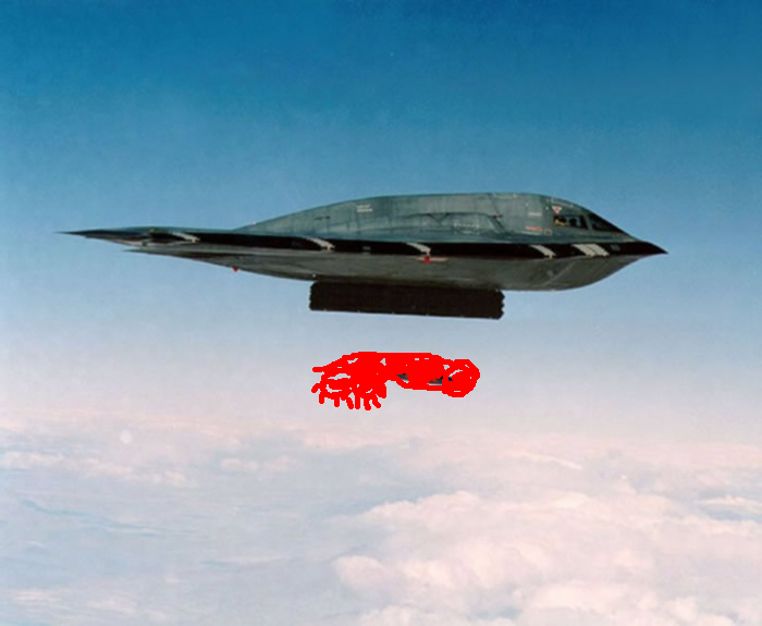 Transsexual B2 Stealth Bomber